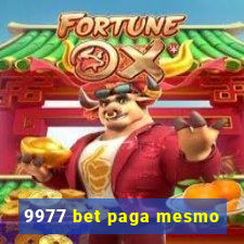 9977 bet paga mesmo